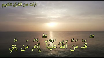 سورة يوسف /الشيخ مروان النور