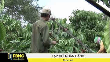 FBNC - Năm 2017 : Đẩy mạnh tái cơ cấu ngân hàng, xử lý nợ xấu