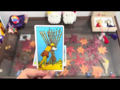 Online Salon Exclusive Video [Wands 8, 9, 10]
