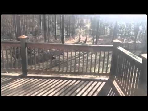 230 Audubon Place, Macon, GA home video tour