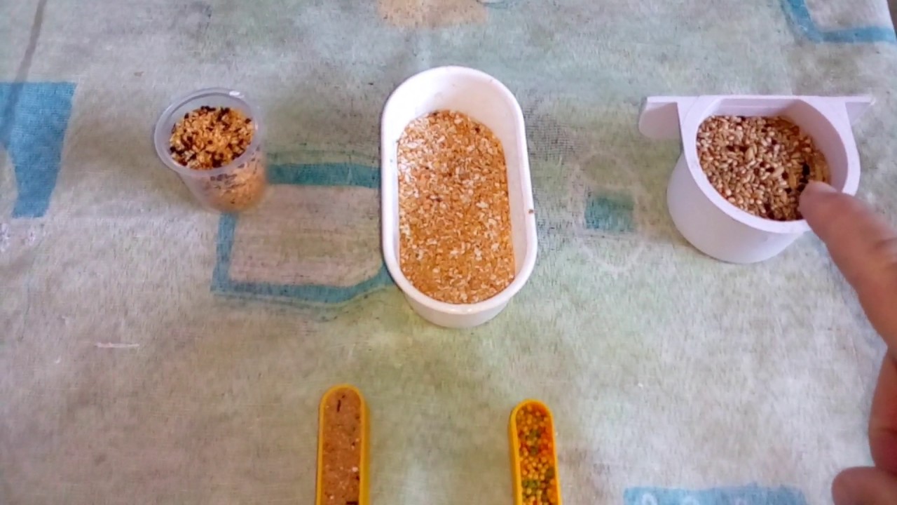 Meus Manons alimentação