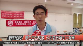 1060426觀天下新聞HD08 金山區原生百合綻放 公所復育賴手工除草