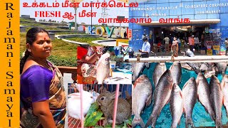 Ukkadam Fish market vlog / Coimbatore Fish Market / Fish Market (Rajamanai Samayal)
