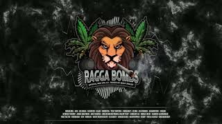RAGGA BOMBS - Special Mix Vol.13 (Mixed By Baky Jnglst)