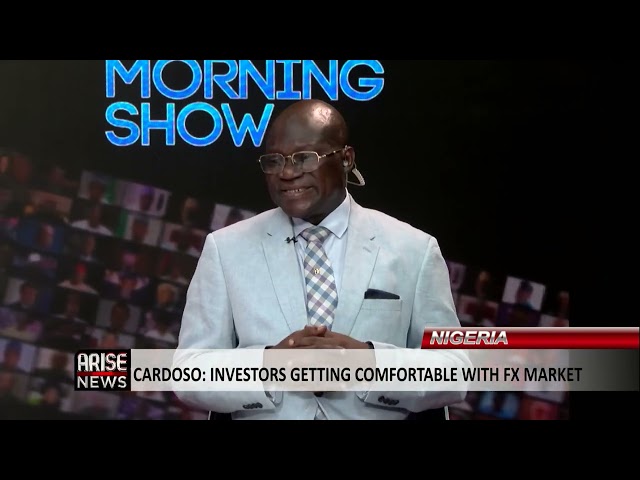 The Morning Show: Investors Getting Comfortable With Nigeria's FX Market - Cardoso class=