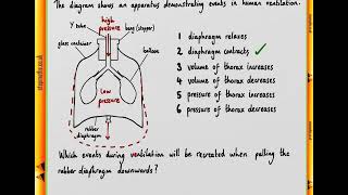 BMAT 2018 Section 2 - Q17 Bio - Ventilation apparatus - Worked Solution