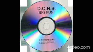 D.O.N.S. / Big Fun CDR 2007