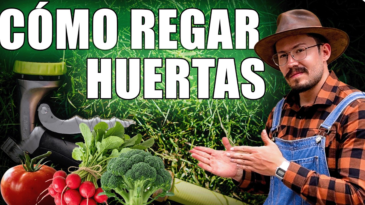 RIEGO en la huerta [2026] : Todo lo que hubiera querido saber ANTES de iniciar