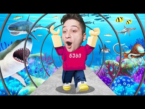 ჩემი აკვარიუმი ავაშენე Aquarium Tycoon roblox