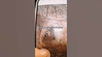 3D Mapping An Abandoned Mine