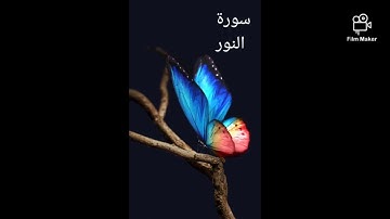 سورة النور للشيخ عبد الرحمن العوسي 🤍