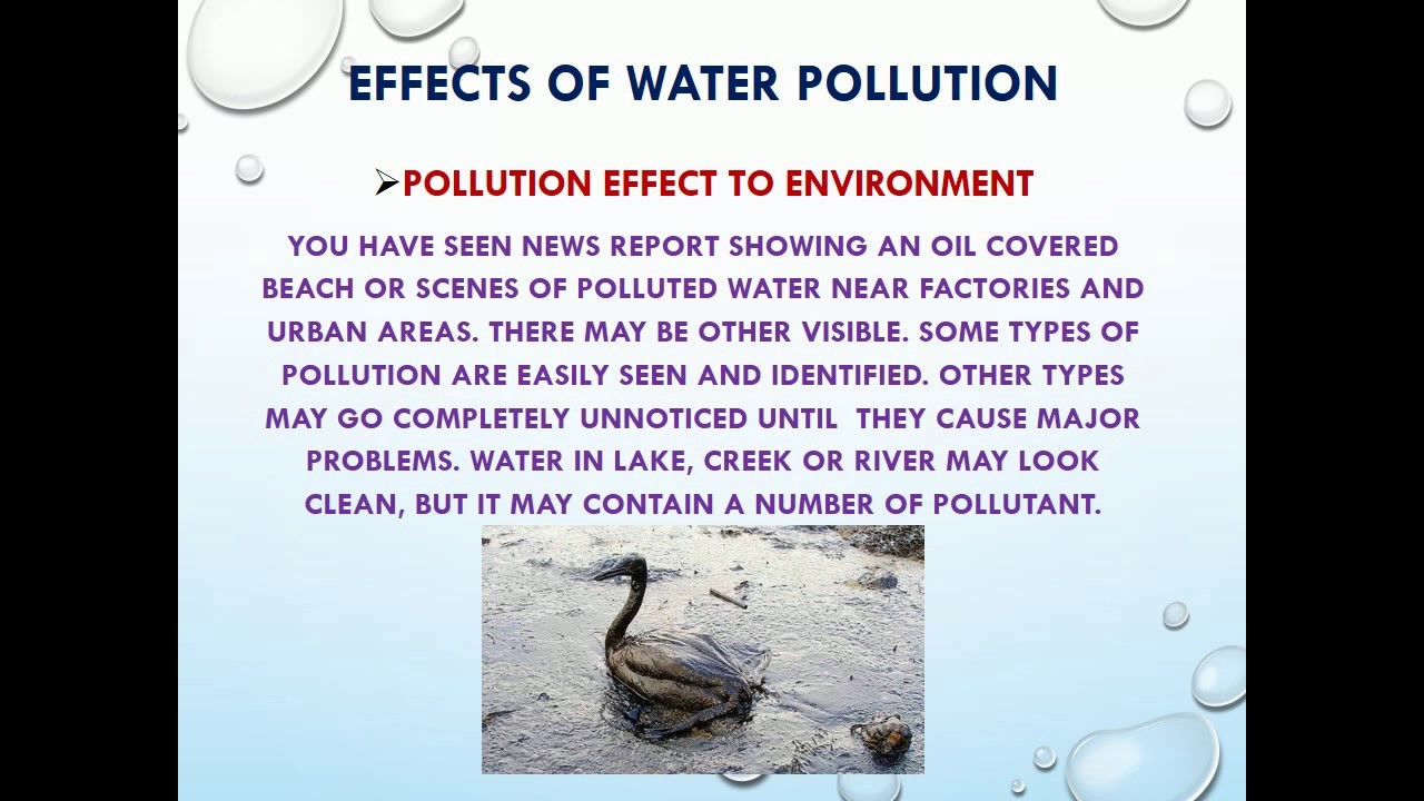 Water Pollution YouTube