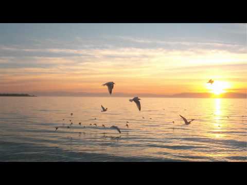 Under Sun - Capoeira (Airbase Pres. Scarab Remix)