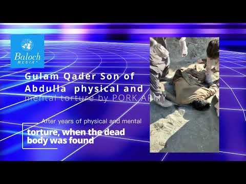 Balochmedia ™ Why does Pakistan target the Baloch intelligentsia?