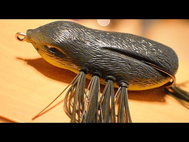 Baby Bird Topwater Bass Fishing Lure?! July Lucky Tackle Box Unboxing! 