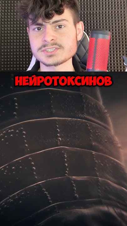 3 Самых Ядовитых Животных на Планете! - YouTube
