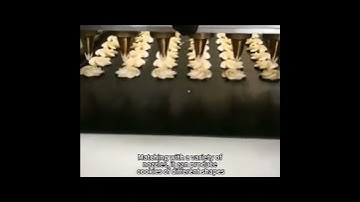 Are you looking for cookie depositing forming machine?