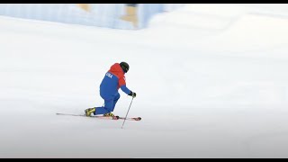 Psia Telemark Team Technical Demos At Interski 2023