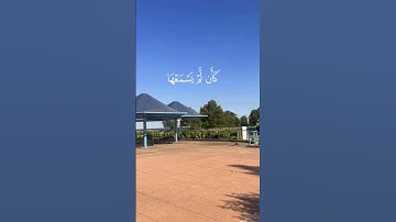 وَيْلٌ لِّكُلِّ أَفَّاكٍ أَثِيمٍ# بصوت ياسر الدوسري # قران كريم #اكسبلور