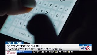 Bill Criminalizing Revenge In South Carolina Heads To Governors Desk