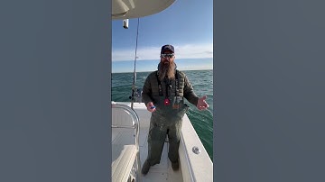 Fishing Science! Striped Bass Citizen Science Kit Breakdown | Massachusetts Marine Fisheries #shorts