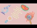 Clinical Cases Of E Coli Salmonella Shigella Yersinia Part 3 Clinical Cases Of E Coli Salmonella Shigella Yersinia Part 3