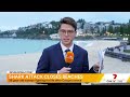 Woman fights for life after Coogee shark attack | 7NEWS