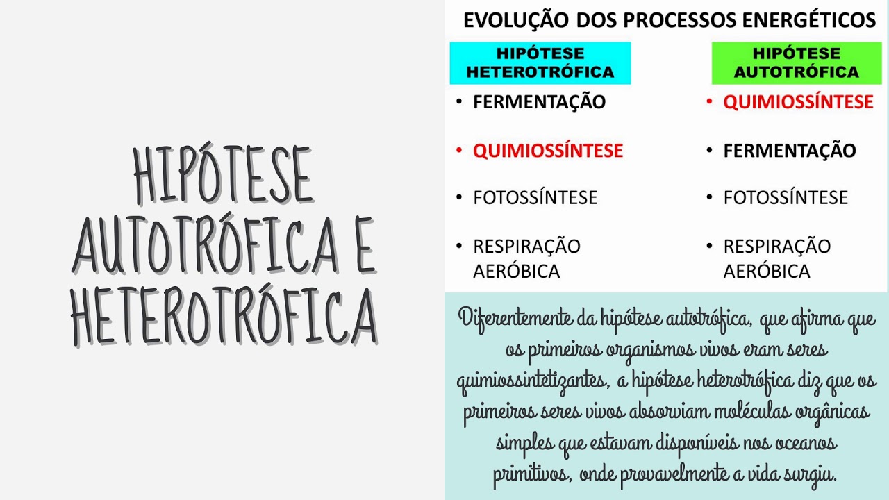 CTM Solidário 2020 - Origem da Vida (Hipótese Autotrófica e ...