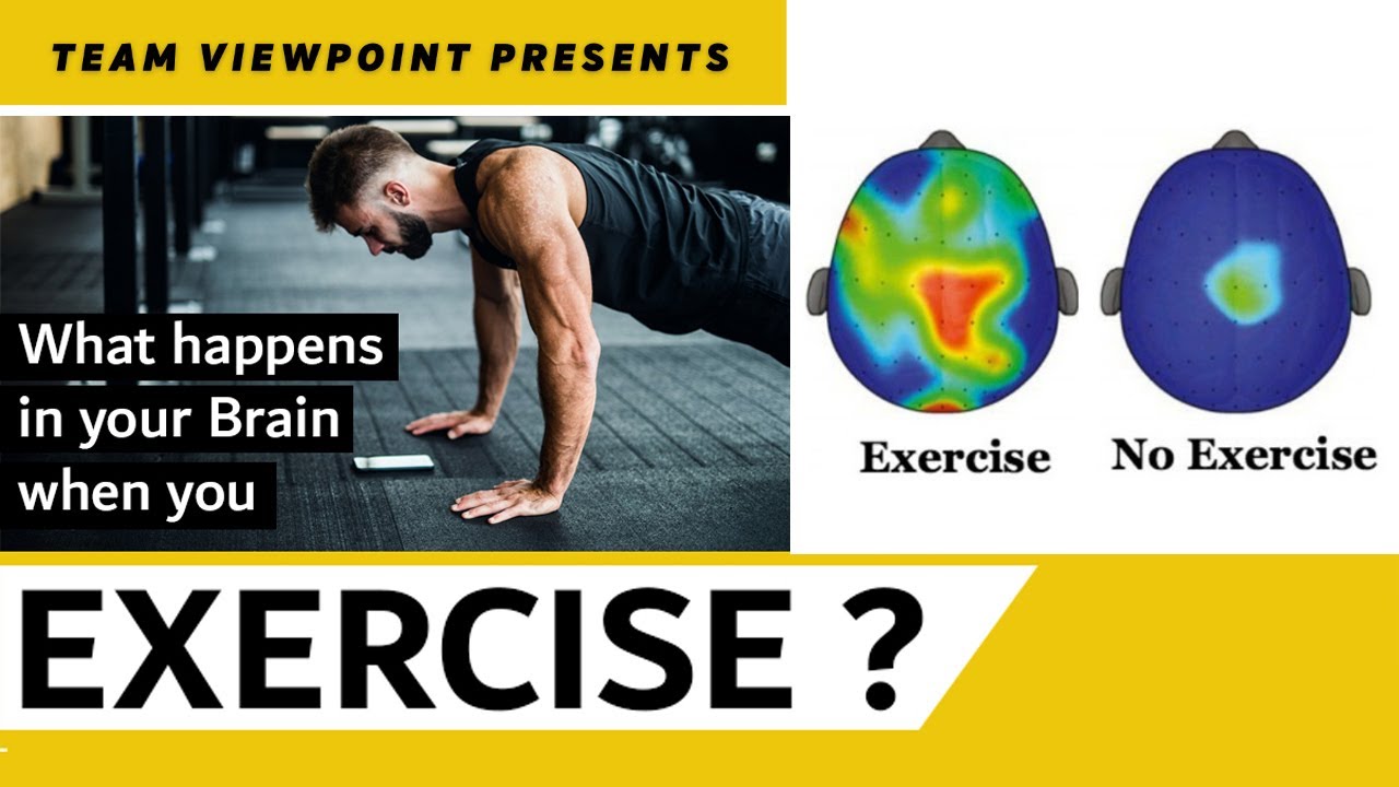 What Happens in your Brain when you Exercise#exercise#exercisebrain# ...