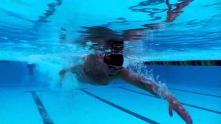 Picking the Right Swimming Technique - Freestyle