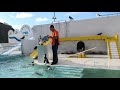 日本一やる気のないペンギンショー！by おたる水族館