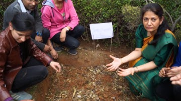 College Best Practices