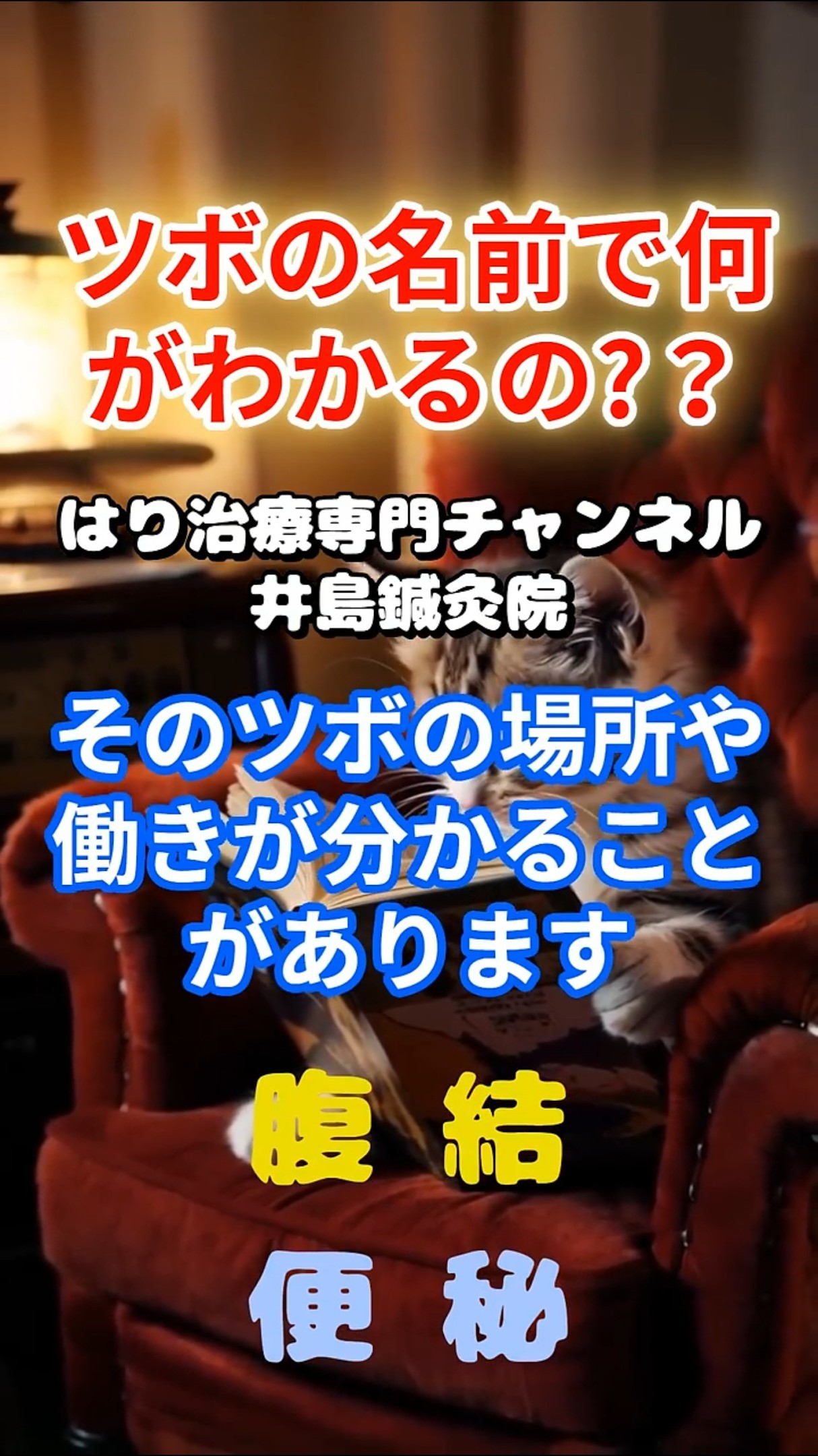 ツボ（経穴）の名前で何がわかるの?？】穴名考はツボの名前の由来や