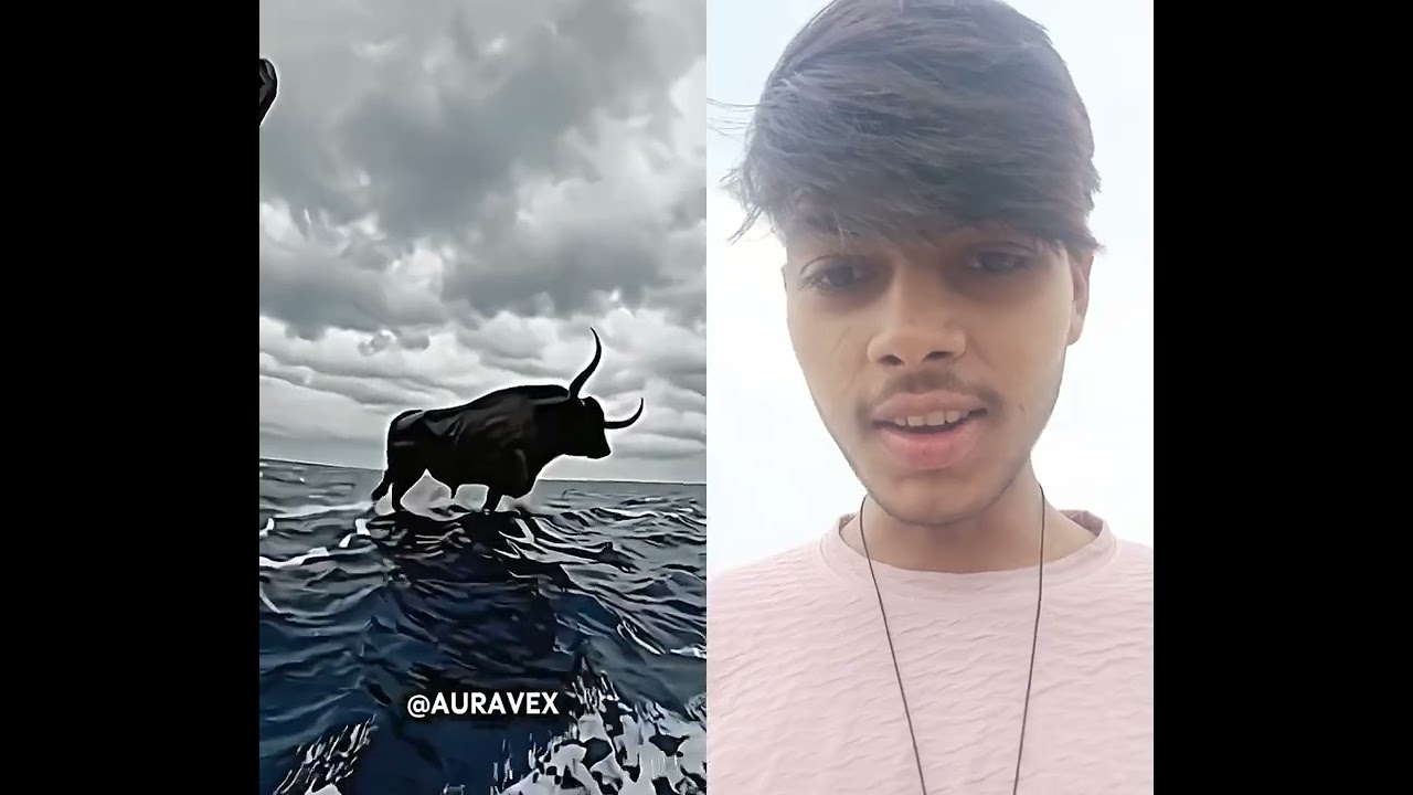 Cow can t Be Big 💀☠️ 