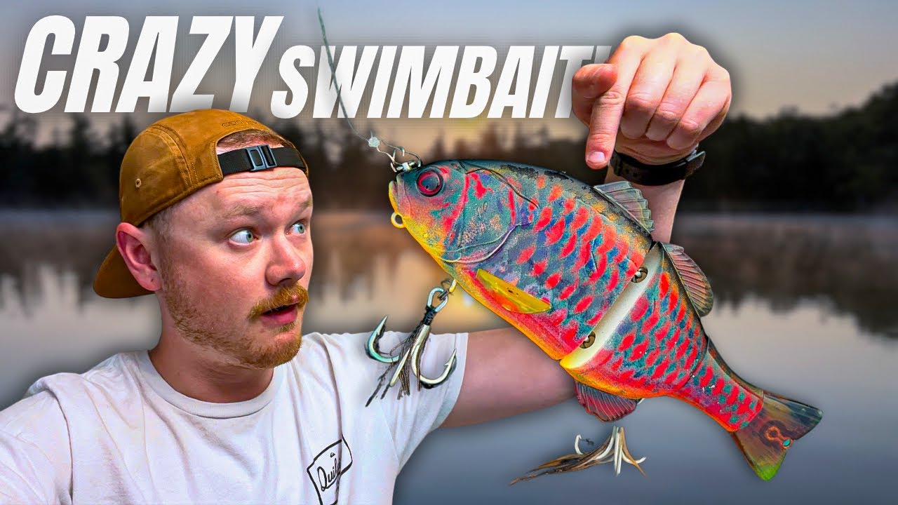 This SWIMBAIT is a BLAST to Fish With!