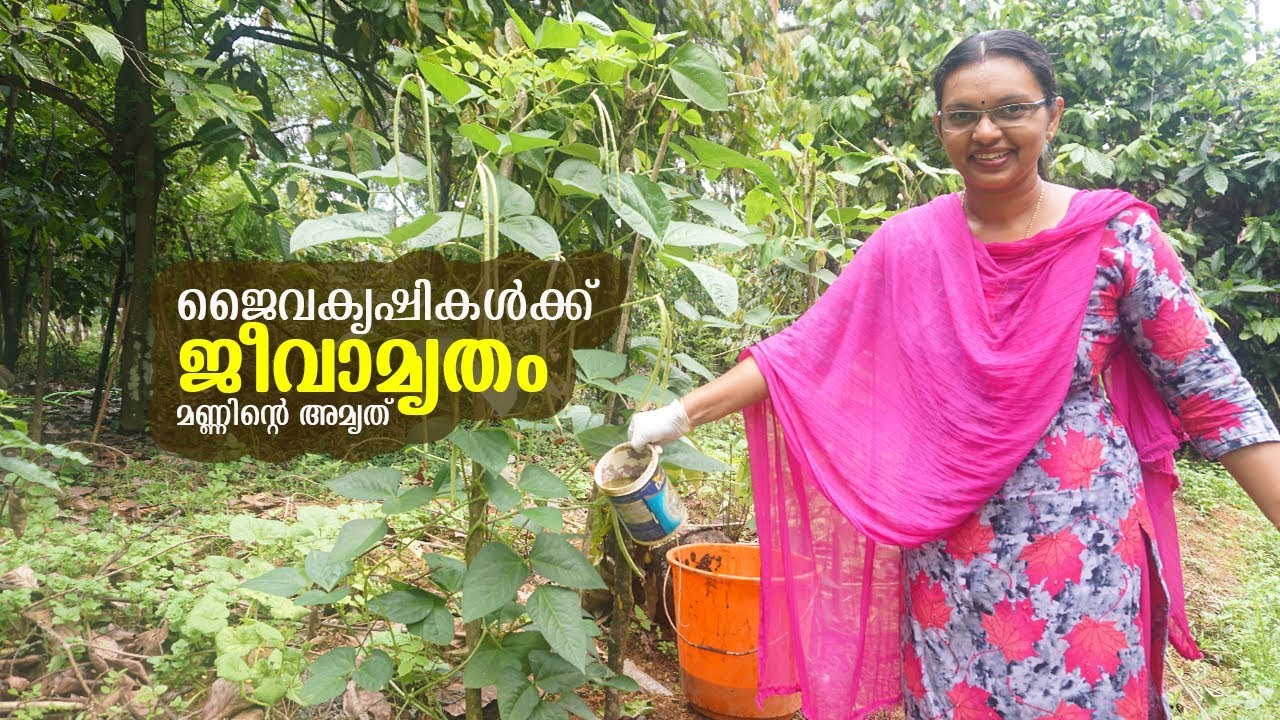 Чудотворный эликсир жизни