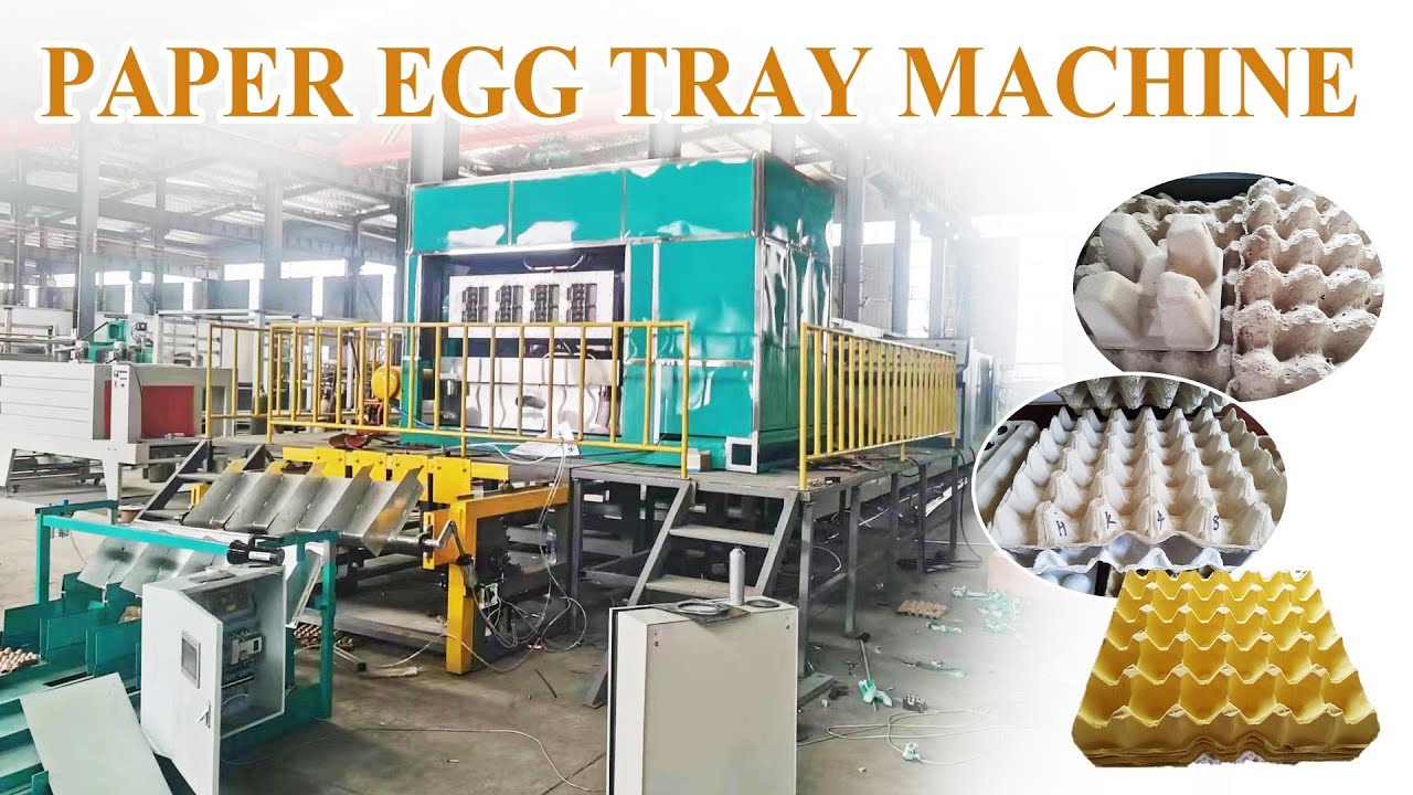 Eggcellent Packaging: How Paper Egg Tray Machine Ensures Quality and ...