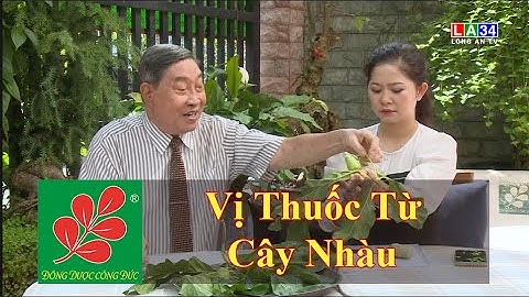VỊ THUỐC TỪ CÂY NHÀU - Lương Y Nguyễn Công Đức