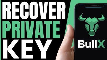 How To RECOVER BullX Private Key (ONLY WAY) 2025