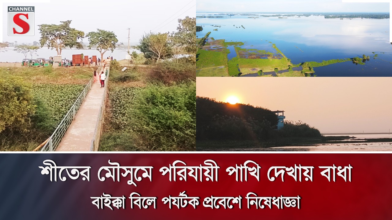শীতের মৌসুমে পরিযায়ী পাখি দেখায় বাধা, বাইক্কা বিলে পর্যটক প্রবেশে নিষেধাজ্ঞা | Channel S News