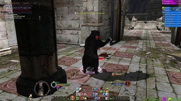 LOTRO 2019 Beorning gameplay