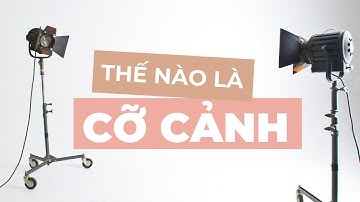 Trong điện ảnh, có những cỡ cảnh cơ bản nào?