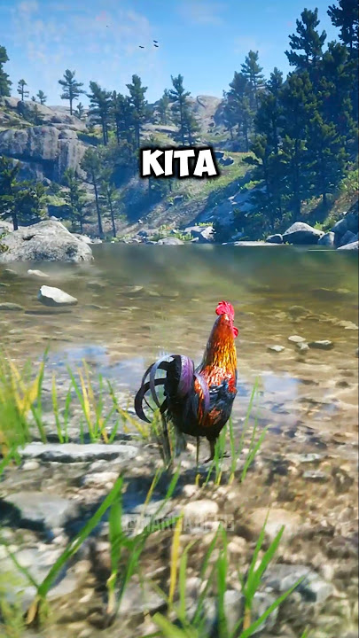 HEWAN vs LAUT di RDR2 #shorts