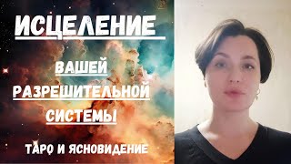 :   .