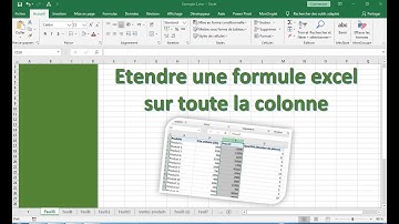 Copier ou étendre une formule excel sur toute la colonne (automatiser la recopie)