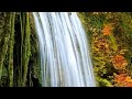 WATERFALL VIEW