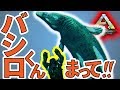 ARK　PS4版＃２８バシロくん、まって！Yロウのアークサバイバルエボルブド