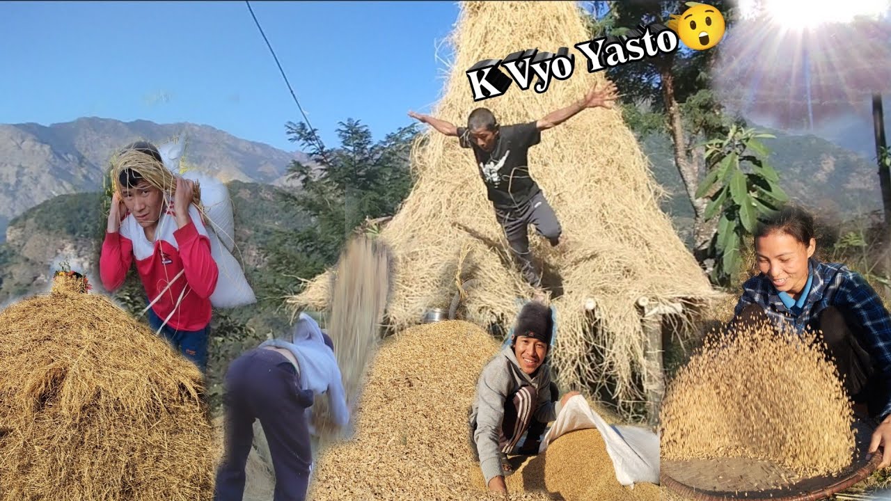 DHAI Pani Gari  Sakiyo Yaspaliko Lagi /#villagelife 