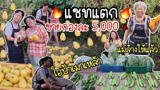 EP.793 แชทแตกเลย ทุกอย่าง 5,000 w ต้องโทรเรียกโอปป้ามาช่วย มันเยอะมาก โอป้าก็เมามา😂