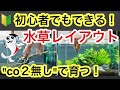 【CO2不要で簡単!】初心者向け水草水槽レイアウトを実践解説!